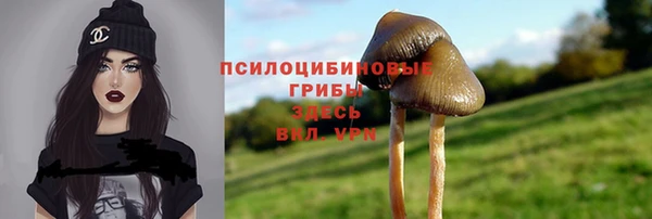 стафф Алексеевка