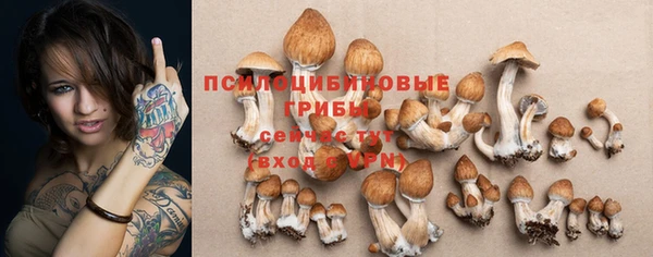 стафф Алексеевка