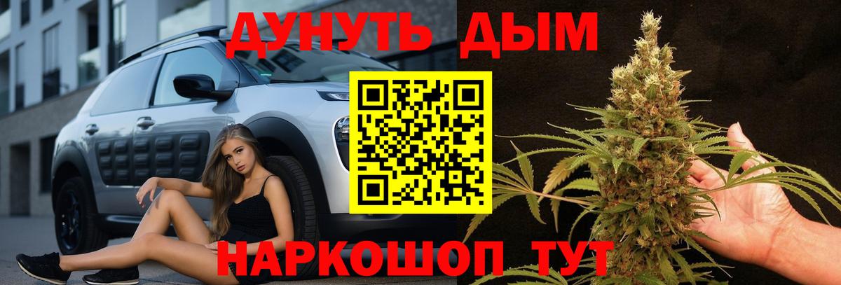 Бошки Шишки SATIVA & INDICA  Вход с VPN  Бошки марихуана конопля  Кемерово  Бошки марихуана план 